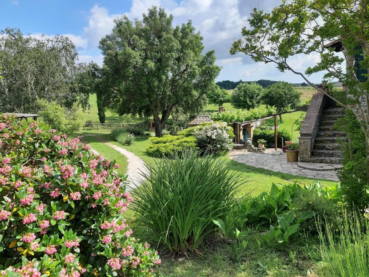Agriturismo Cantinaccia Di Sopra Питиляно Екстериор снимка