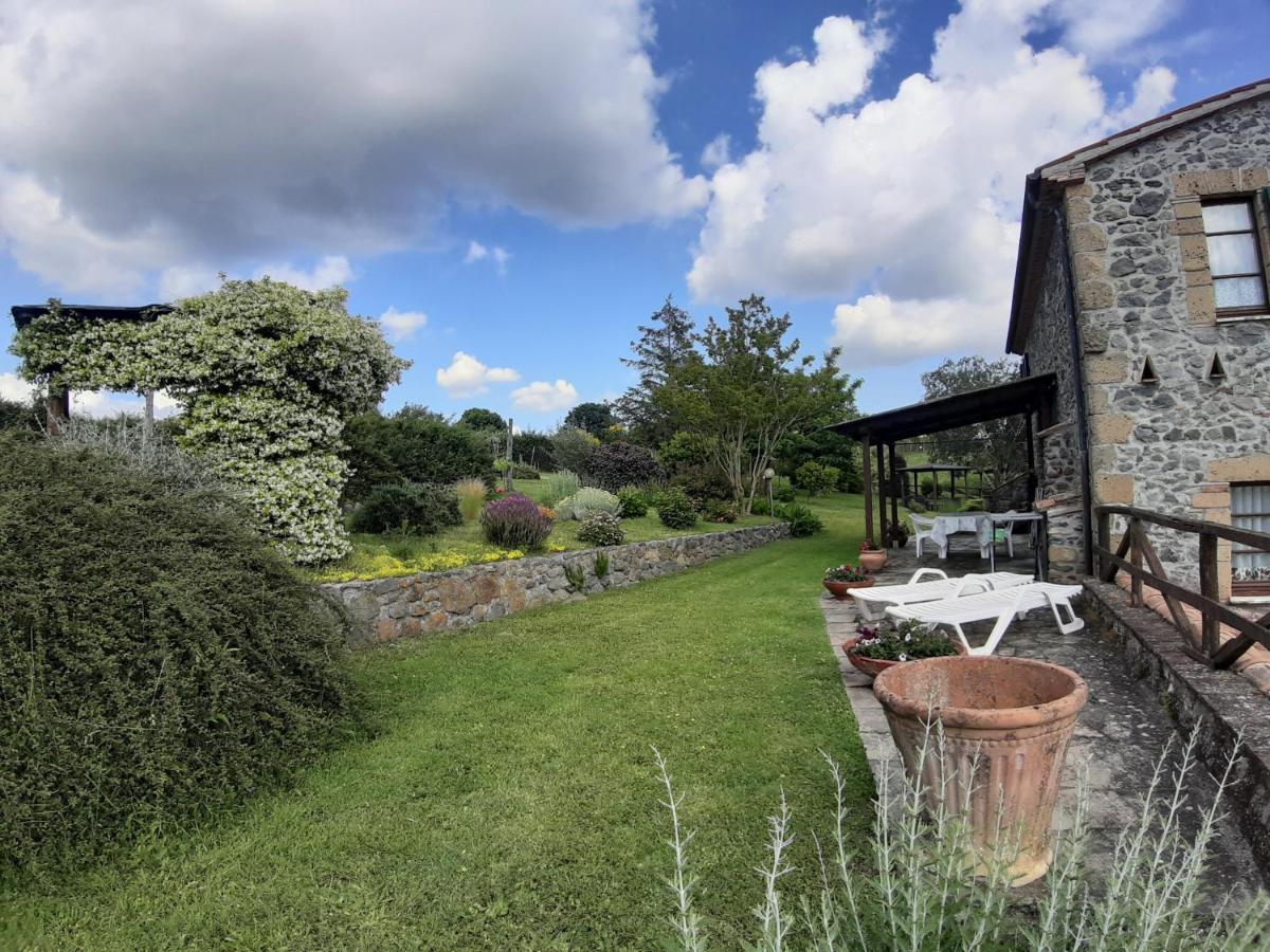 Agriturismo Cantinaccia Di Sopra Питиляно Екстериор снимка