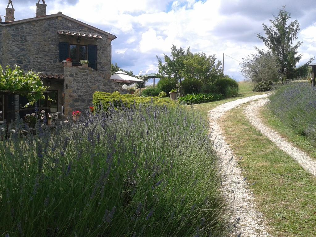 Agriturismo Cantinaccia Di Sopra Питиляно Екстериор снимка