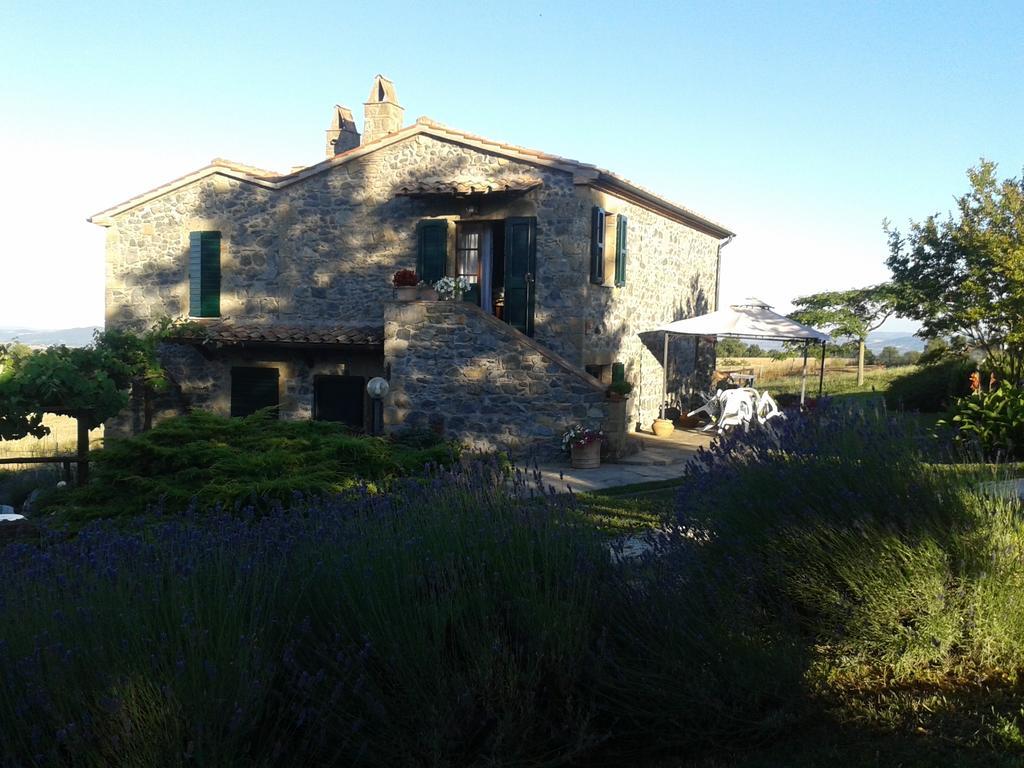 Agriturismo Cantinaccia Di Sopra Питиляно Екстериор снимка