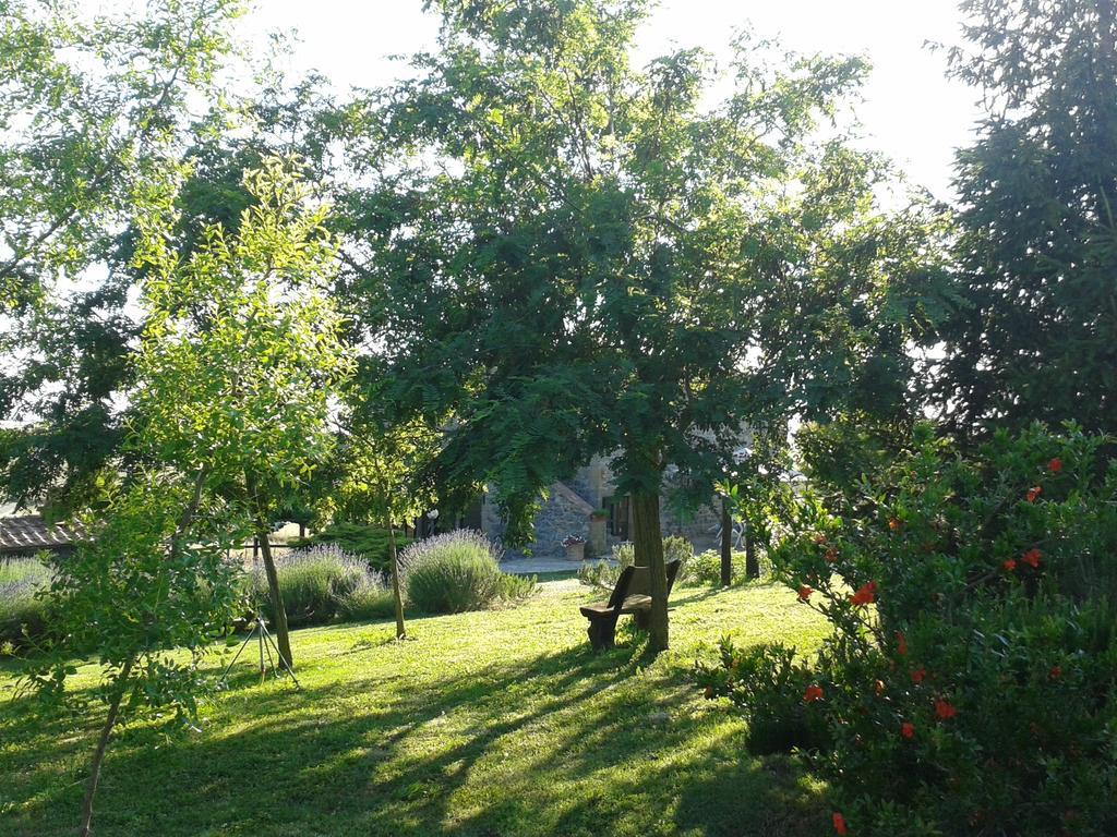 Agriturismo Cantinaccia Di Sopra Питиляно Екстериор снимка