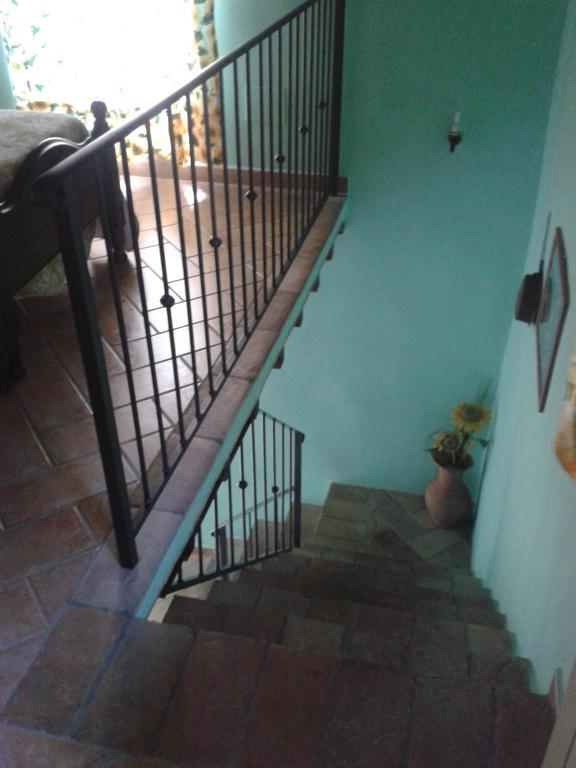Agriturismo Cantinaccia Di Sopra Питиляно Екстериор снимка