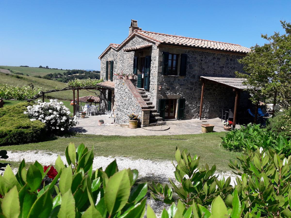 Agriturismo Cantinaccia Di Sopra Питиляно Екстериор снимка